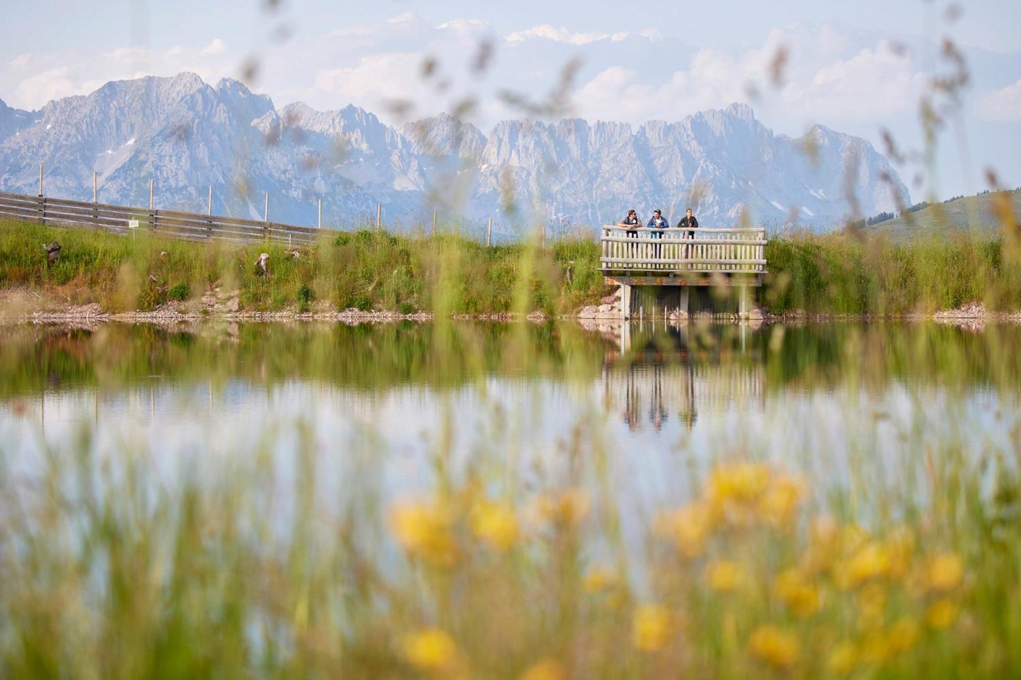 Das Hohe Salve Sportresort, 4 Sterne Superior Hopfgarten im Brixental Eksteriør billede